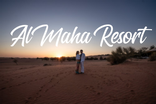 Al Maha Resort – The Perfect Relaxation Getaway